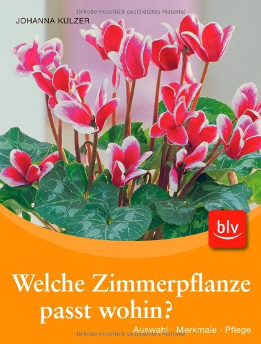 Welche Zimmerpflanze passt wohin?-Set (Buch + Aquasticks): Auswahl - Merkmale - Pflege