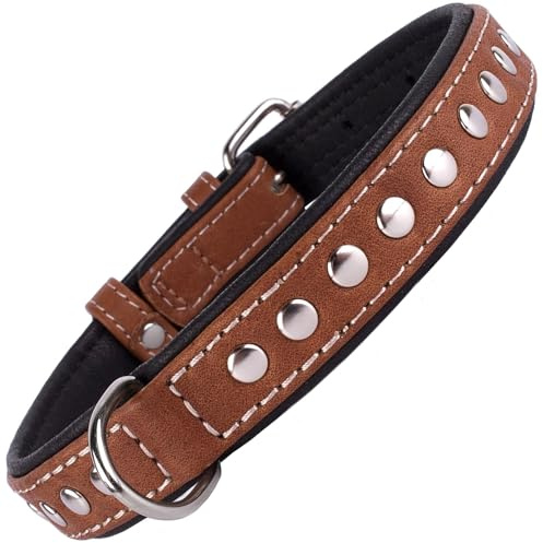 CollarDirect Hundehalsband mit Nieten, Leder, für kleine und mittelgroße Welpen, weich gepolstert, Braun/Schwarz (Braun, 28-33 cm)