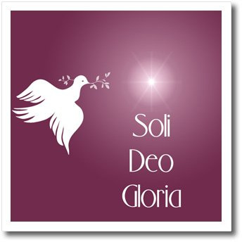 3dRose 777images Designs Text Art - Dove with an Olive Branch, Bright Star and Soli Deo Gloria, Glory to God Alone. on red Brown bk. - 10x10 Iron on Heat Transfer for White Material (ht_99130_3)