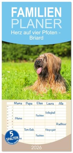 Familienplaner 2026 - Herz auf vier Pfoten - Briard mit 5 Spalten (Wandkalender, 21 cm x 45 cm), CALVENDO