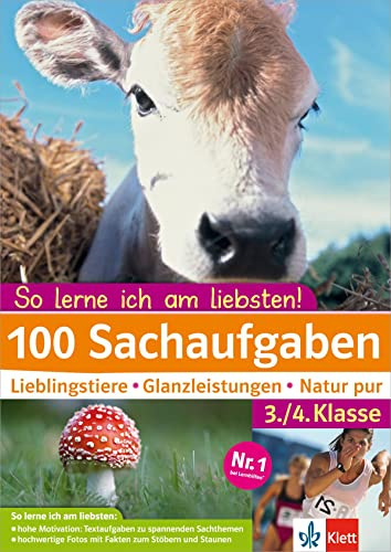 Klett 100 Sachaufgaben 3./4. Klasse: So lerne ich am liebsten!