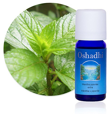 OSHADHI Bio Pfefferminzöl Premium 5ml - Minzöl für Aromatherapie, Sauna, Diffuser - Duftöl - Pfefferminz Öl Zum Verzehr - Ätherisches Öl 100% NATURREIN - Frisch Minzig - Vegan - Glasflasche