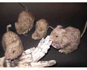 Halloweendeko - 1 Stück Ratte mit Fell - ca. 15 cm