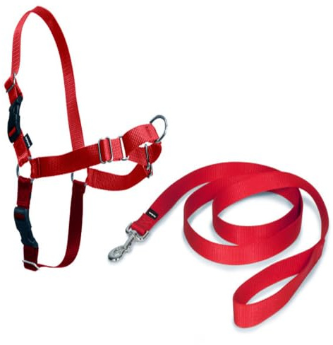 PetSafe Harnais Easy Walk avec Boucle Anti-Traction et Laisse de 1,8 m, Promenade Confortable pour Vous et Lui - 4 Points de Réglage – Résistant, Facile à Mettre et enlever – Rouge, Taille XL