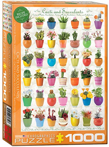 Cactus et Plantes succulentes