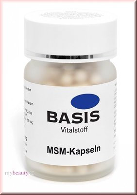 Basis MSM Kapseln 100St.