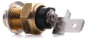 HELLA 6PT 009 107-691 Sensor, Öltemperatur - 12V - mit Dichtung