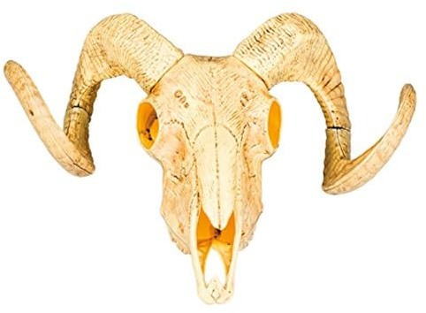 Boland - Dekoration Tierschädel, 28 x 36 cm | Stier Totenkopf mit Hörnern für Halloween, Karneval und Horror Mottoparty