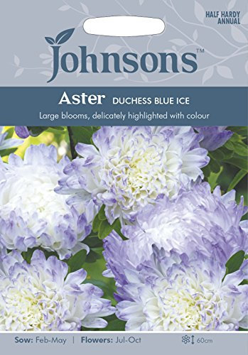Johnsons 12628 Flower Seeds, Aster Duchess Blue Ice