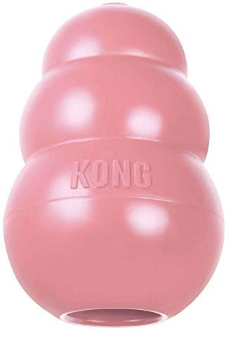 Kong Puppy Kong Hundespielzeug, Medium Breeds, Größe M
