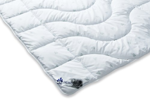 Badenia Bettcomfort 03631830154 Steppbett Irisette Dreams leicht 200 x 200 cm weiß