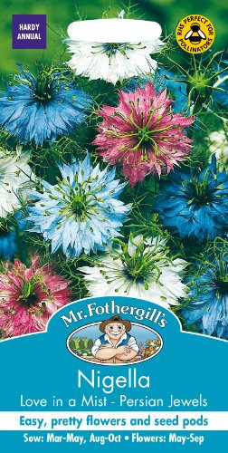 Mr. Fothergill's 24974 Nigella Persian Jewels Flower Seeds