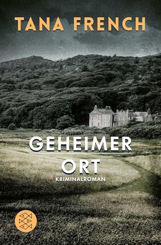 Geheimer Ort: Kriminalroman (Mordkommission Dublin, Band 5)