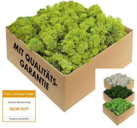 GJS Musgo islandés Natural conservado – auténtico Musgo Decorativo en 200g/500g/1kg/4kg para Fuentes del Arte, arreglo, florística, Cuadros, Manualidades y decoración (Verde Claro, 1kg)