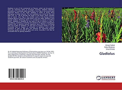 LAP Lambert Academic Publishing