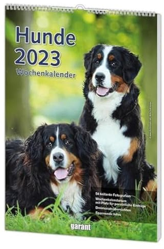 Wochenkalender Hunde 2023