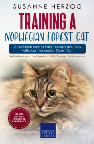 Training a Norwegian Forest Cat – Guidebook how to train, occupy and play with your Norwegian Forest Cat: Well-adjusted cats – hunting games – clicker training – training structure
