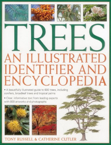Trees: An Illustrated Identifier And Encyclopedia: A Beautifully Illustrated Guide To 600 Trees, Including Conifers, Broadleaf Trees And Tropical Palms