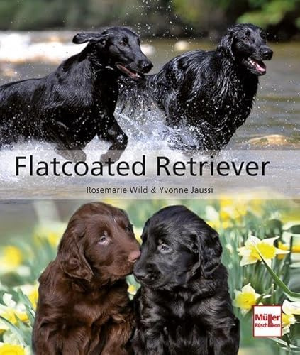 Flatcoated Retriever - Alles über den beliebten Familien-, Sport- und Jagd-Hund, geeignet für Halter, Züchter und Welpenkäufer (Hunderassen)
