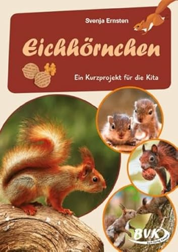 Eichhörnchen: Ein Kurzprojekt für die Kita (Kurzprojekte) | mit farbigen Bildkarten