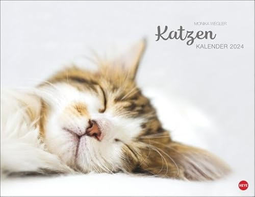 Katzenkalender 2024. Wandkalender mit 12 traumhaft schönen Fotos der renommierten Fotografin Monika Wegler. Tierkalender 2024. Querformat 44x34 cm.