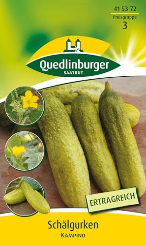Quedlinburger Saatgut Schälgurke, Kampino Samen