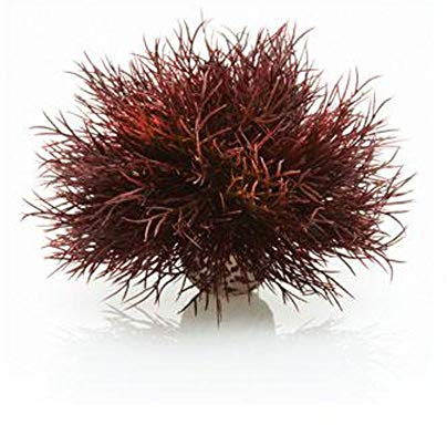 biOrb 46077