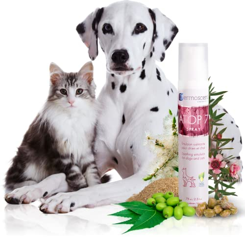 Pflegespray gegen Juckreiz und Geruch | Sensitives Spray für Hunde und Katzen mit empfindlicher Haut | Alternative zu Hundeshampoo bei Milben und Hautirritationen | Atop 7 Spray von Dermoscent