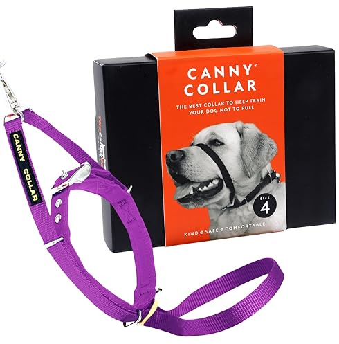 Canny Collar Anti-Zug Kopfhalfter für Hunde gegen Ziehen, Lila Größe 4 | Für bessere Leinenführigkeit, lockeres Laufen an der Leine, mehr Kontrolle & entspannte Spaziergänge ohne harte Korrektur.