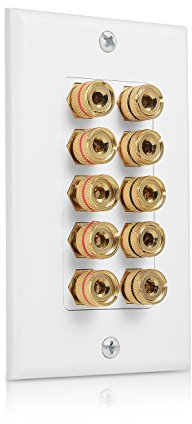 Cable Matters Plaque Murale avec Prise Jack Banane 5- Haut-Parleur