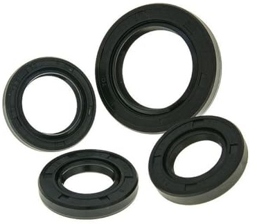 Wellendichtringsatz Motor für REX (Jinan Qingqi) RS 450 [QM50QT-6A]