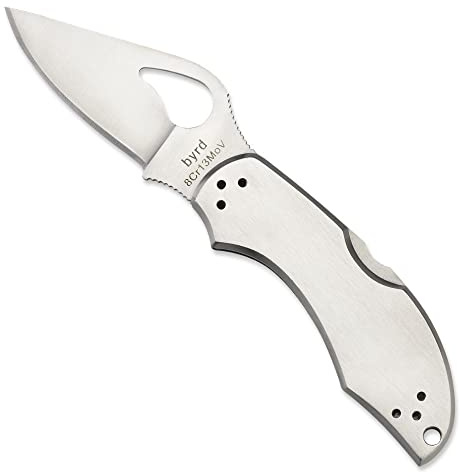 Spyderco BY10P2 fällkniv, grå