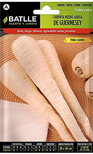 Semences horticoles de Batlle - Panais taille moyenne de Guernesey (10g)
