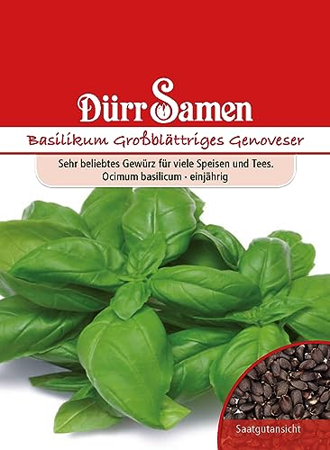 Dürr-Samen - Basilikum Großblättriges Genoveser Saatgut