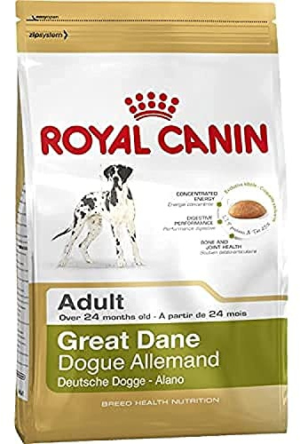 Royal Canin Great Dane 24 Adult 12 kg, 1er Pack (1 x 12 kg)