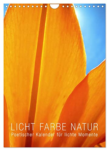 Licht Farbe Natur (Wandkalender 2024 DIN A4 hoch), CALVENDO Monatskalender: Poetischer Kalender für lichte Momente (CALVENDO Natur)