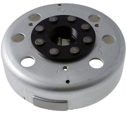 PIAGGIO ORIGINAL Polrad/Rotor 50 2T für Piaggio Sfera RST 50 DT AC 95-97 ZAPC010, GILERA DNA 50 ZAPC270, Zip SSL 50 TT AC 92-96 SSL1T, NRG 50 DT LC 94-96 SAL1T, Power DT AC 05-06 ZAPC453