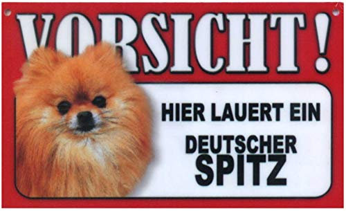 Türschild Warnschild Spitz