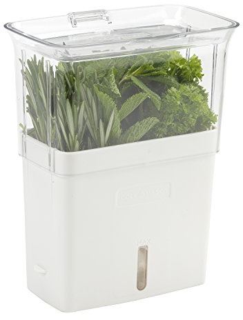 Cole & Mason H105159 Tealby Fresh Cut Herb Keeper, Herb Pot/Storage/Herb Saver/Box, Acrylic, Includes Removable Dividers, 2 Year Guarantee,White/Clear (H) 230mm x (W) 185mm x (D) 120mm