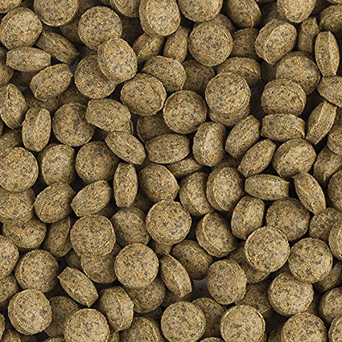 Tropical BL Vege Tablet B Pflanzenfutter Hafttabletten, 1er Pack (1 x 1 kg)