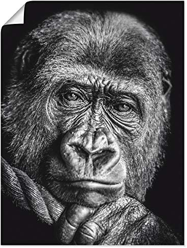 ARTLAND Wanddeko Poster & Kunstdrucke Wandposter 60x80 cm Gorilla Porträt Tiere Affe Asien Schwarz Weiß Modern Kunst Q7MN