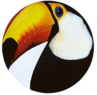 Olhar O Brasil 12.88 Toucan Charger Plate