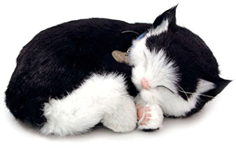 Perfect Petzzz - 65432 - Peluche Interactive - Chat - Shortair Bundle - Noir / Blanc - Animal Qui Respire pour de Vrai - 25 cm