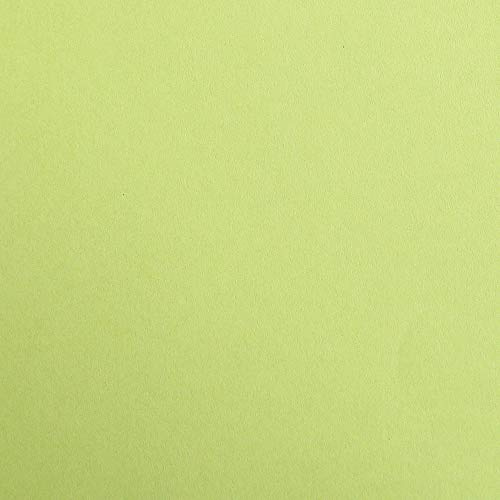 Clairefontaine 97452C - Packung mit 25 Blatt Fotokarton Maya, DIN A4, 21x29,7 cm 270g, 1 Pack, Hellgrün