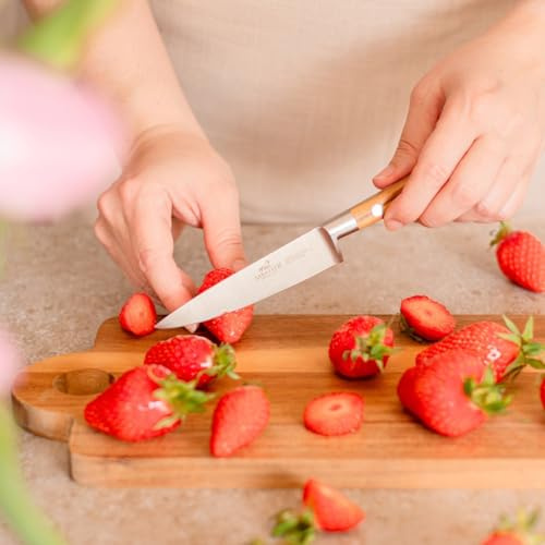 Sabatier Ideal Provençao Allkniv, 100% smidd, 10 cm, blad och nitar i rostfritt stål, perfekt för precisionsarbete som att skala, skära och ansa frukt och grönsaker, tillverkad i Frankrike