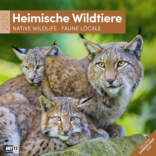 Heimische Wildtiere 2025, Wandkalender / Broschürenkalender im Hochformat (aufgeklappt 30x60 cm) - Art12 - Geschenk-Kalender mit Monatskalendarium zum Eintragen