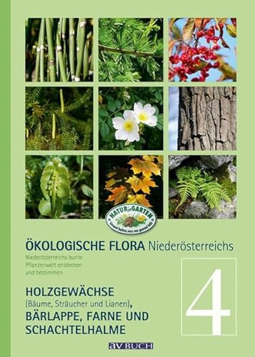 Ökologische Flora – Nieder-Österreichs Pflanzenwelt entdecken und bestimmen: Band 4- Holzgewächse (Bäume, Sträucher und Lianen), Bär- Lappe, ... (avBuch im Cadmos Verlag: im Cadmos Verlag)