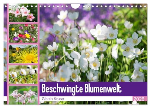 Beschwingte Blumenwelt (Wandkalender 2026 DIN A4 quer), CALVENDO Monatskalender: Ein Blütentanz quer durch den Sommer (CALVENDO Natur)