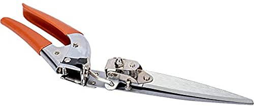 CortacSped Una Mano, Cabeza G