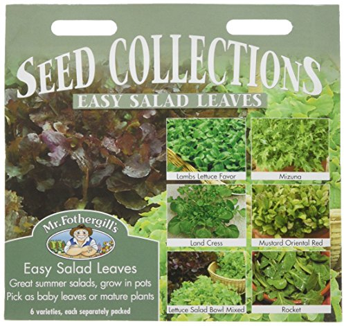 Mr Fothergill's 15517 Vegetable Seeds, Easy Salad Leaves, Red